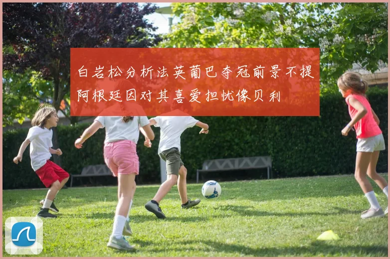 白岩松分析法英葡巴夺冠前景不提阿根廷因对其喜爱担忧像贝利